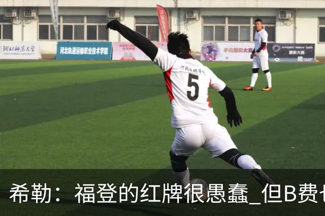 希勒：福登的红牌很愚蠢 但B费也应该被红牌罚下，如果罚就都得罚